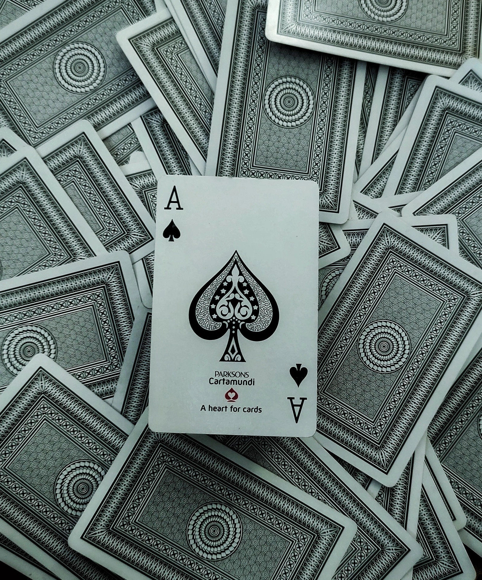 shyam betting id