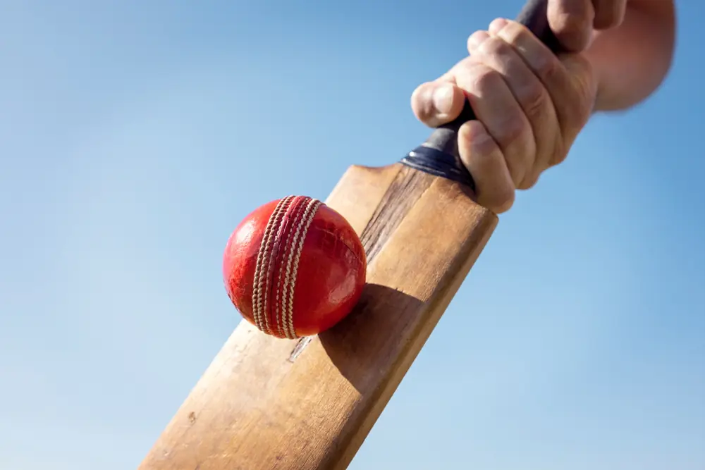 Instant Cricket ID WhatsApp
