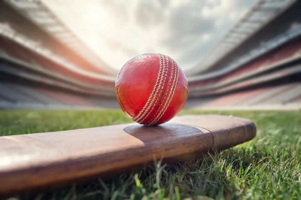 Cricket ID guide