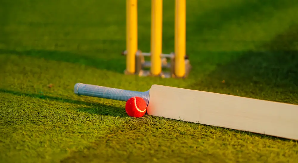 Online ID Cricket