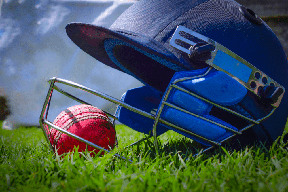 best online cricket