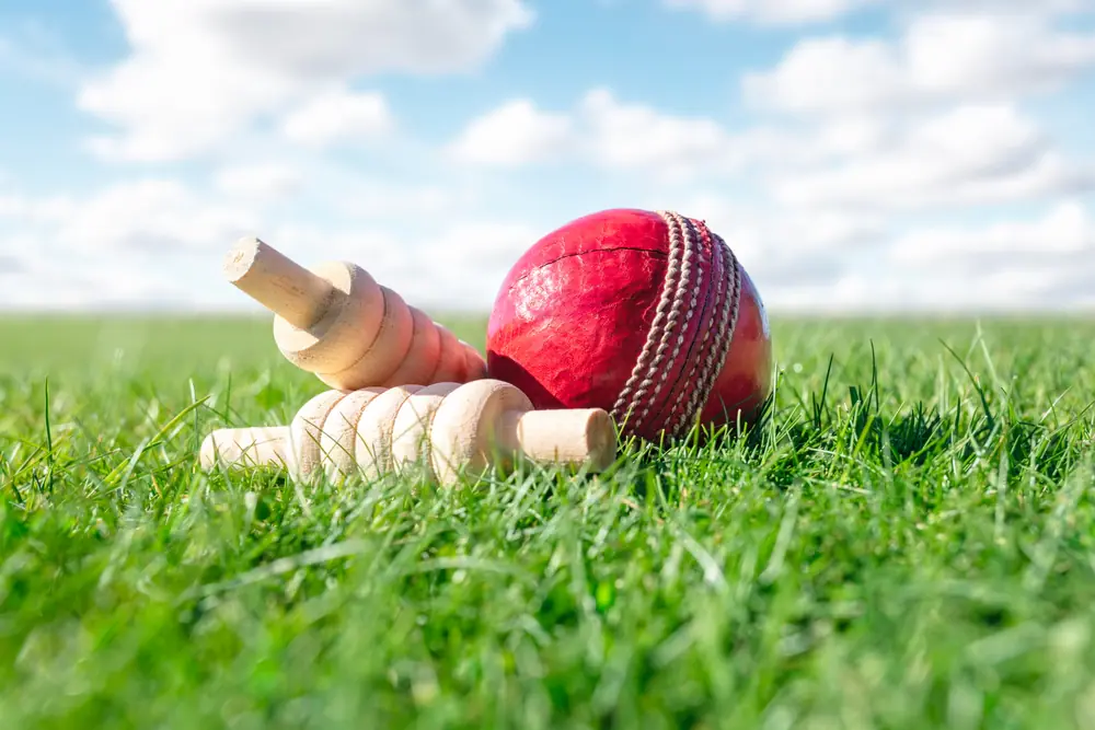 cricket ID in india
