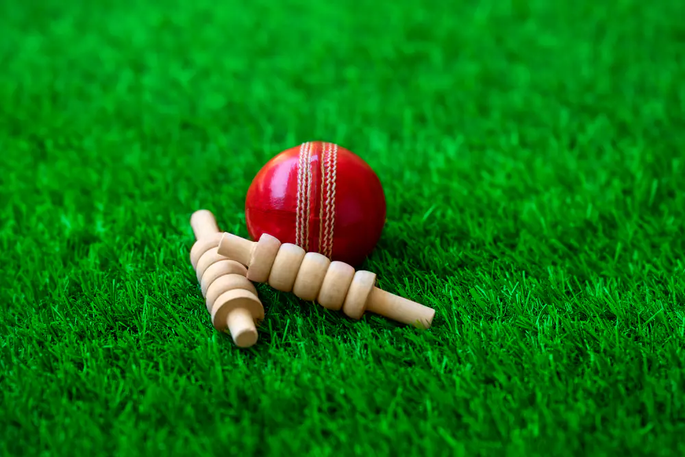 Cricket ID Maker