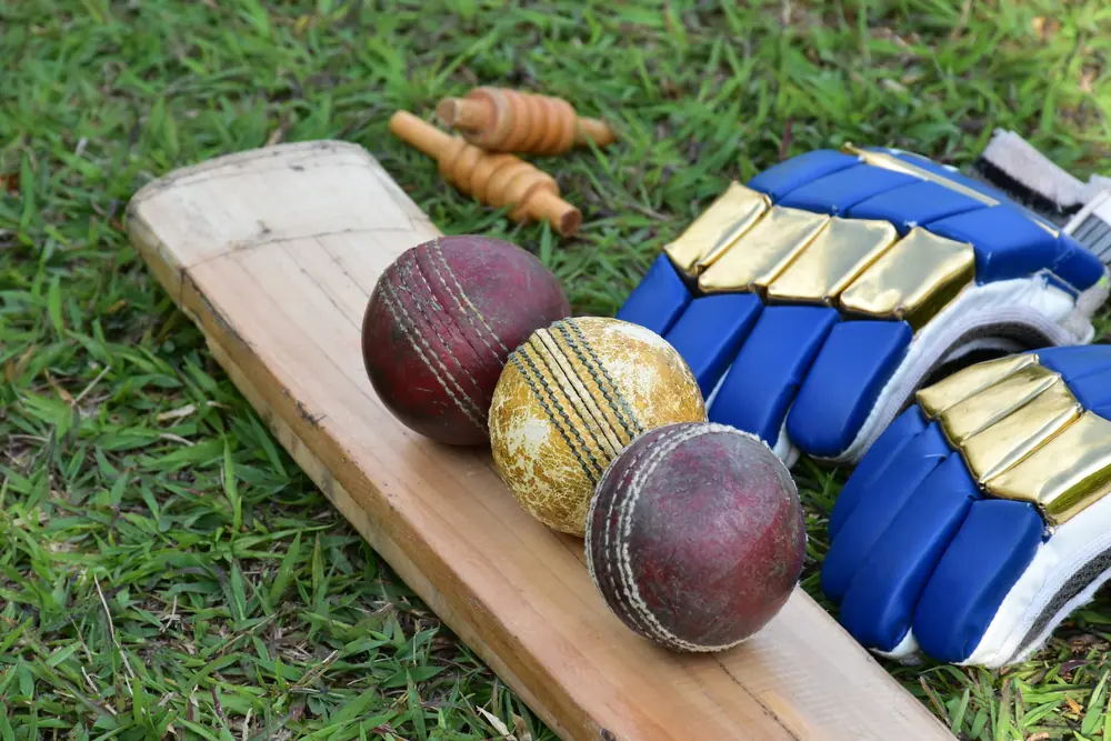 Top 10 Best Cricket ID Provider in India