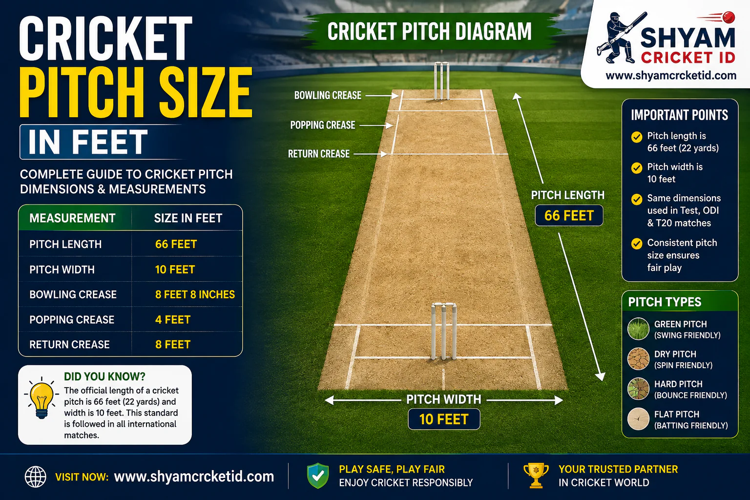 cricket pitch size in feet